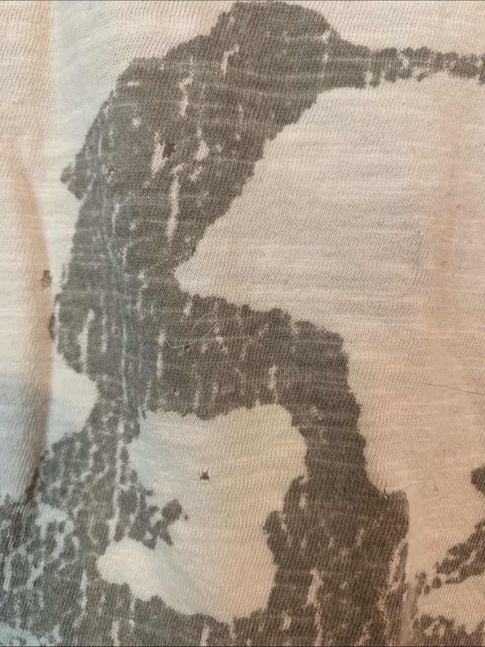 Magnolia Pearl Graphic California Surf Logo Tee - Picture 2 of 2